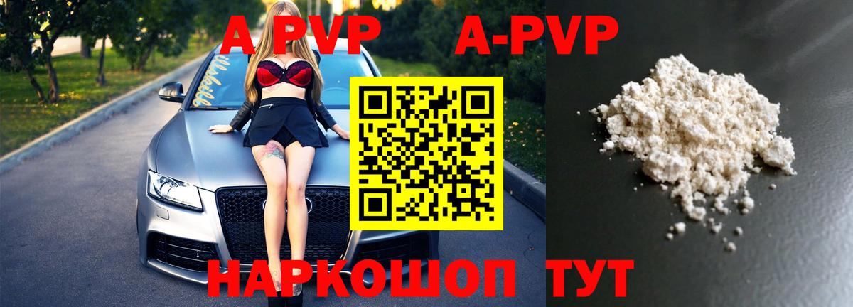 Alfa_PVP СК Архангельск