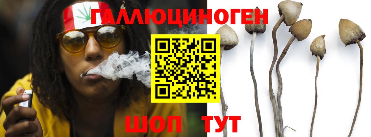 Галлюциногенные грибы Psilocybe  Вход с VPN  Архангельск 